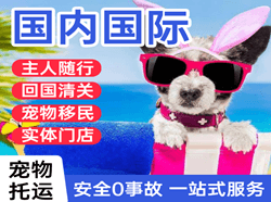 连云港花果山机场快递国际宠物托运 【国